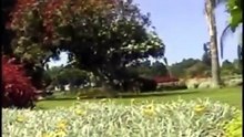 SIDONIO SILVA -E LINDO PORTUGAL