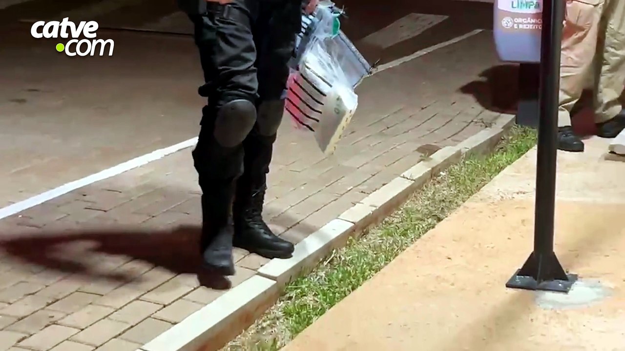 Cão farejador Scooby ajuda Polícia Civil a apre...