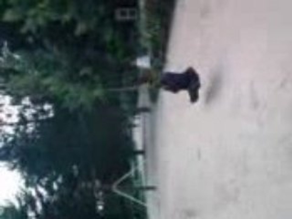 il.pleut