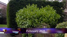 Homes Under The Hammer S28E78