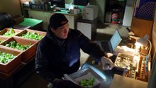 Cabbage Your Life Episode 9 English Sub