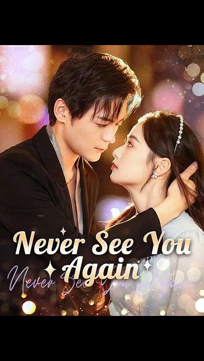 Never See You Again