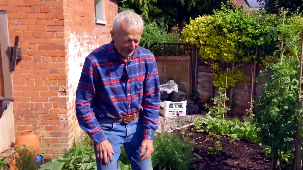 Small Garden July 5th