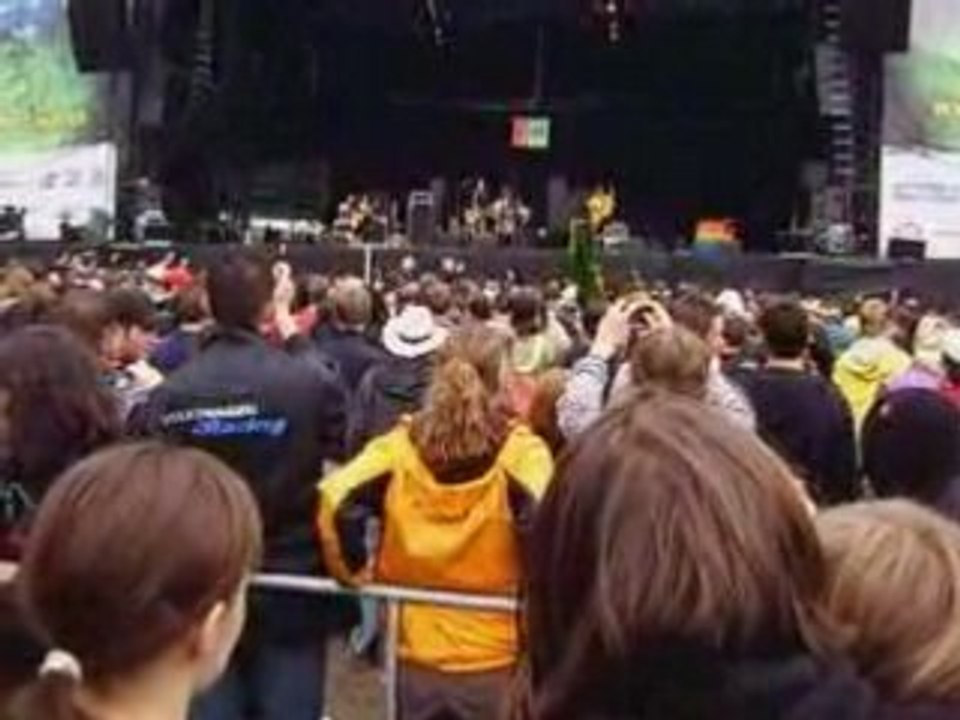 Thuja am Greenfield 2008