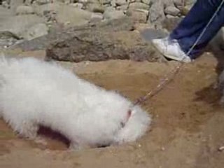 Vacances bretagne avril 2008 091