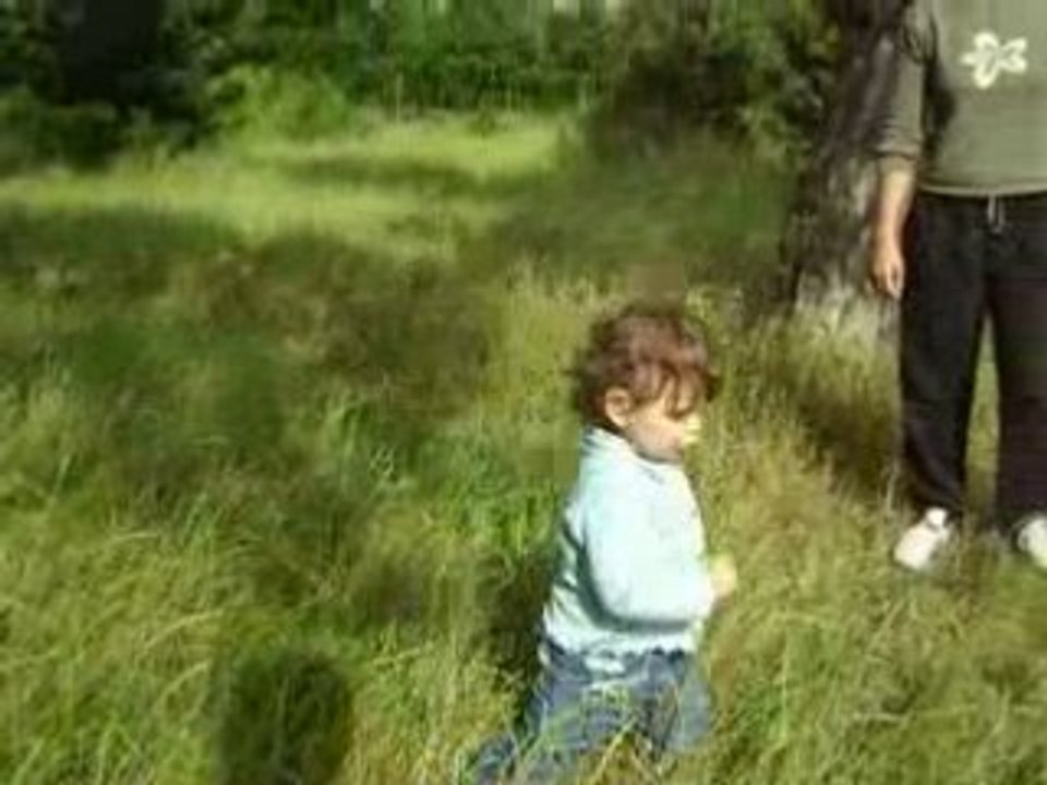 Vincennes promenade juin 2008 5