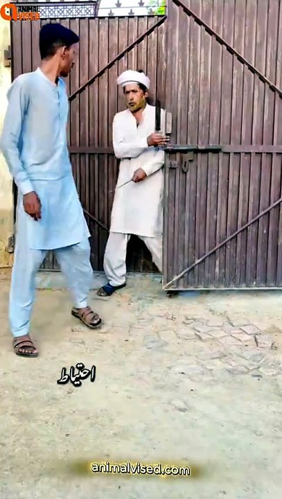 Pakistani Butcher VS Goat Funny Videos 😂🐐 | Hilarious Eid Moments