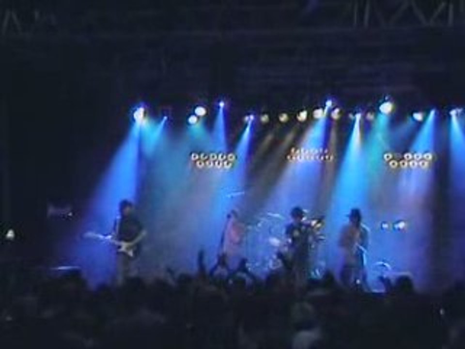 The Klones Finale Havana - Your choice