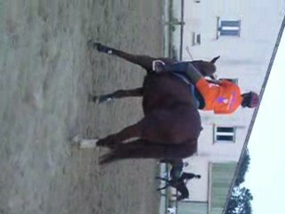 Furia-épaule en dedans