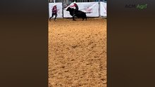 Aussie youth bull rider Jake Washband in action ahead of World Finals