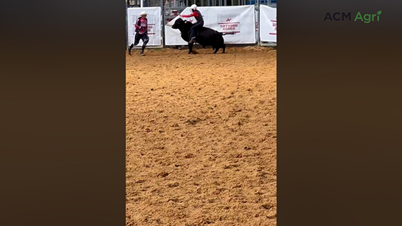 Aussie youth bull rider Jake Washband in action ahead of World Finals