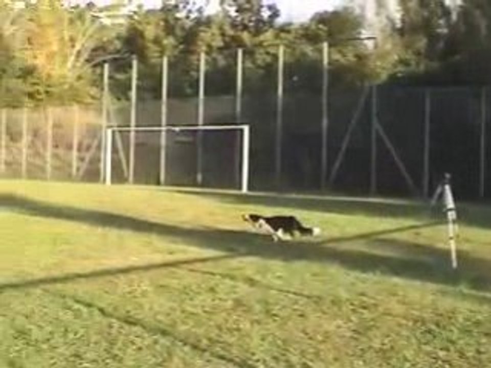 Frisbee Bebop: étude de 2 "envolées"