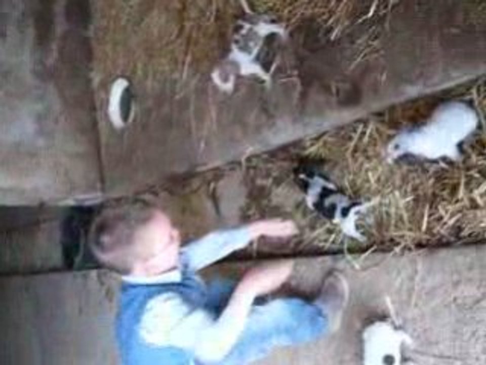 Flavien et les chiots