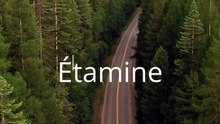 Étamine