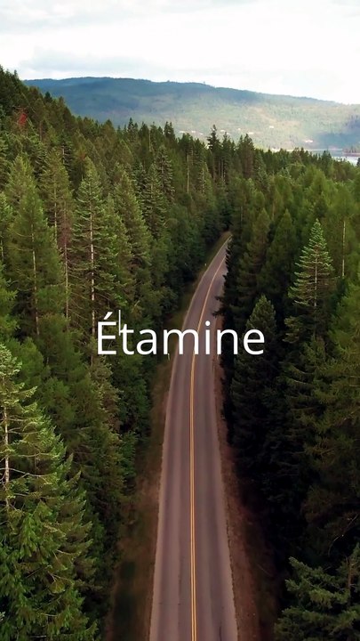 Étamine