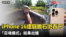 iPhone 16去年遭龍膽石斑吞下 今舉行「召魂儀式」結果出爐