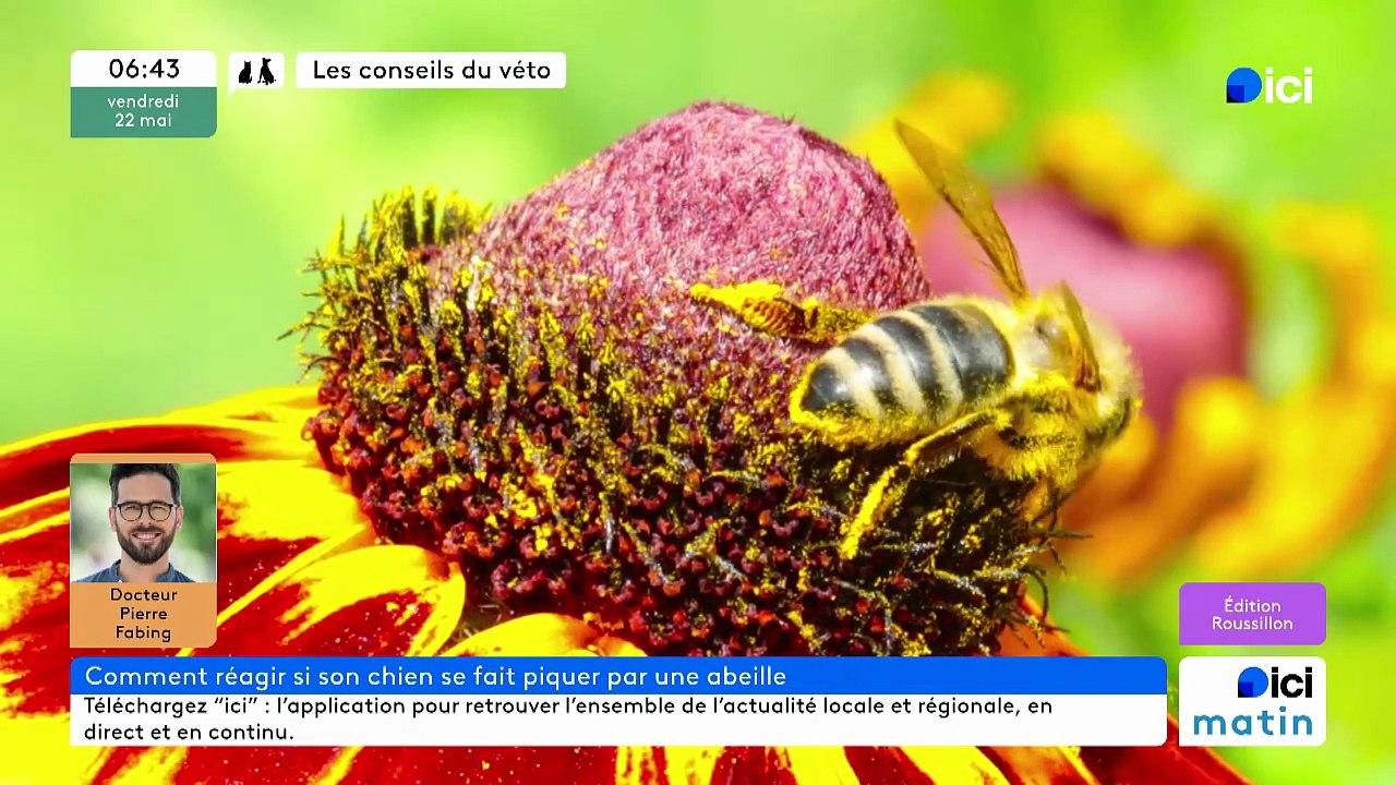 22/05/2026 - ici matin par ici Roussillon en vidéo
