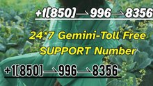 { VeRiFiEd GEMINI® Help Desk {Complete Guide}™ — Toll-Free SUPPORT  AND SERVICES