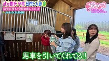 【櫻坂46】2026_05_21「サクラミーツ