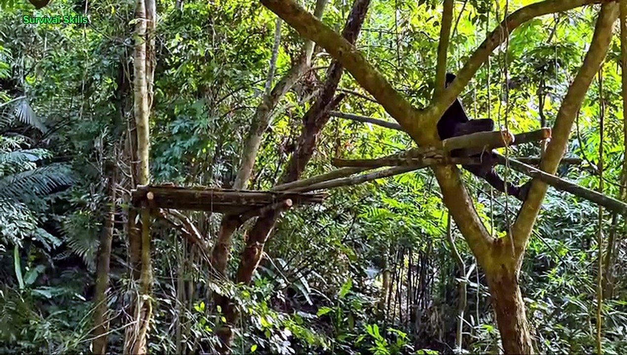 Building an Elevated Tree Shelter with Rope Ladder to Avoid Ground Predators