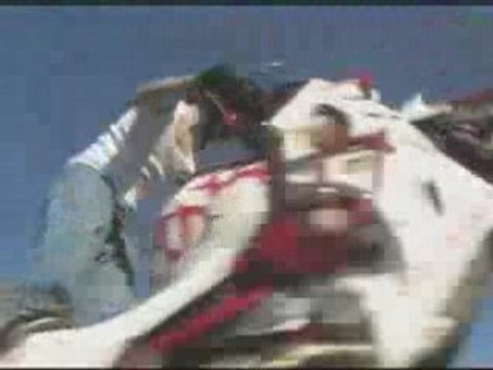 Ruff Ryders What? Motorcycle Stunts