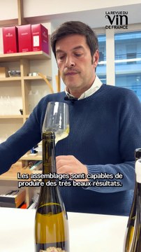 Les vins d’assemblage et de complantation en Alsace