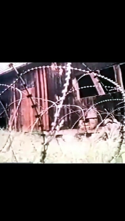 La infantería alemana de 1985 en la Guerra Fría: así entrenaban los soldados y paracaidistas