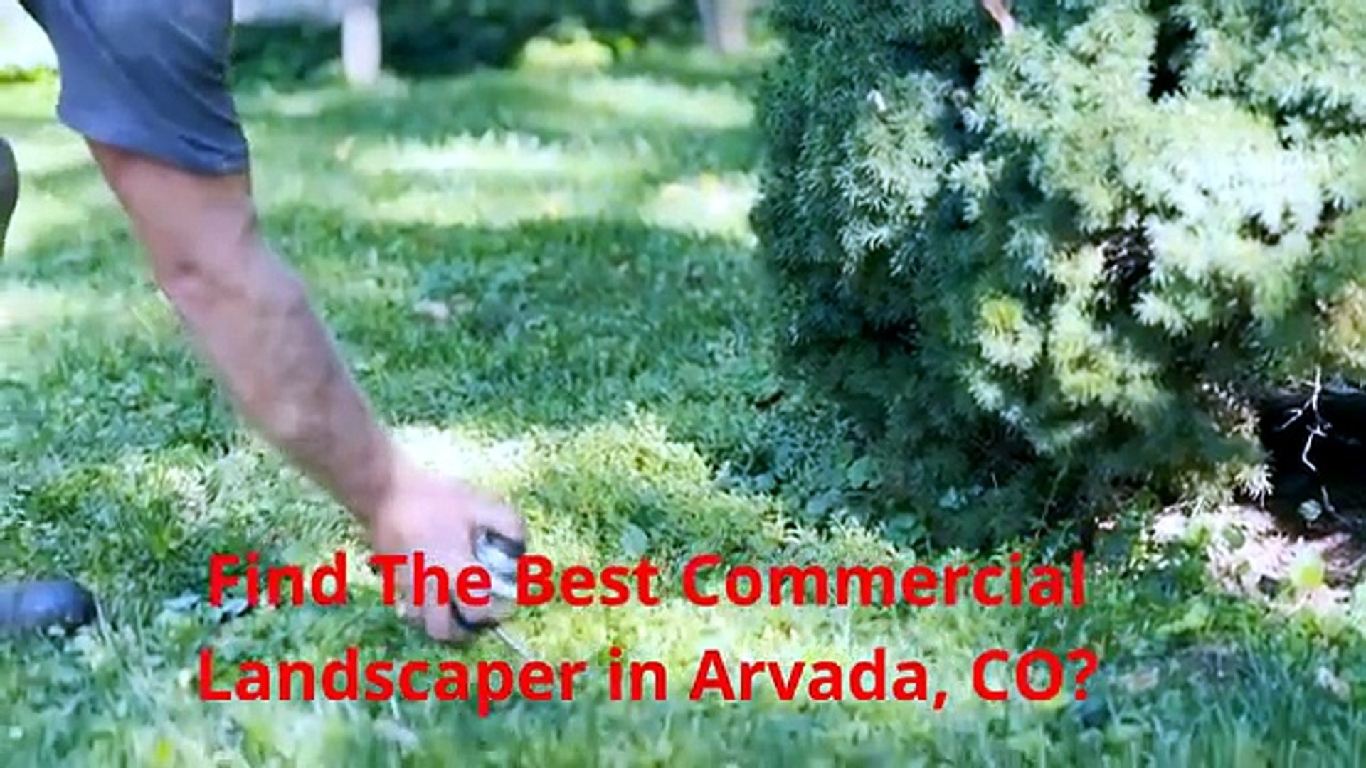 ⁣Greenspace Landscaping - Commercial Landscaper in Arvada, CO