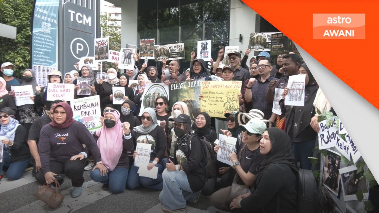 Memorandum diserah kepada Kedutaan Jepun tuntut  gajah
