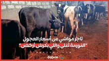تاجر مواشي عن أسعار العجول الفورمة أغلى واللي بكرش أرخص