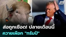 ส่อถูกเชือด! ปลายเดือนนี้ ควายเผือก"ทรัมป์" หลังคนแห่ดู  เครียดจนน้ำหนักลด | เข้มข่าวค่ำ | 22 พ.ค.69