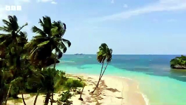 Survivor (UK) (2023) Saison 1 - (EN)