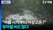 "여름 시작부터 이상고온?"...장마철 비도 많다 / YTN