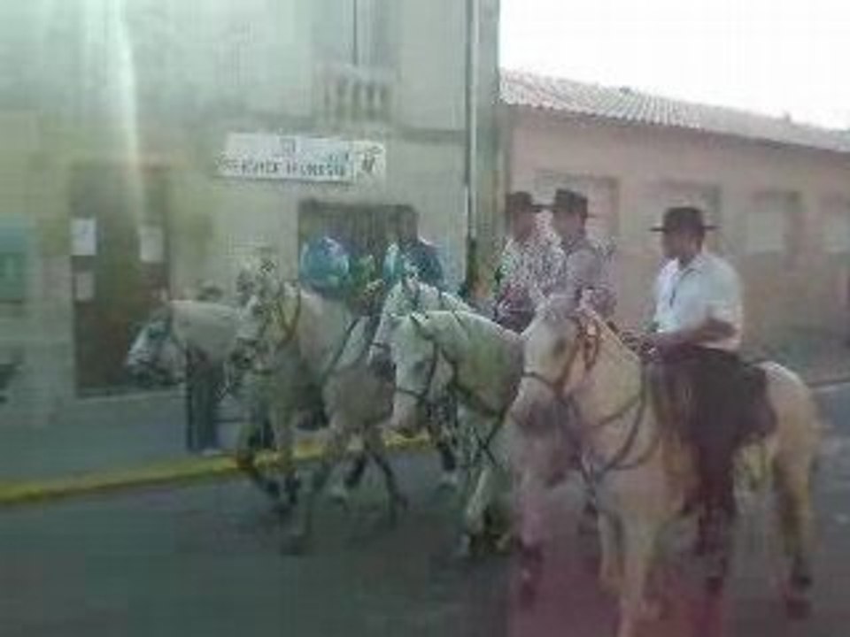 Abrivado 1