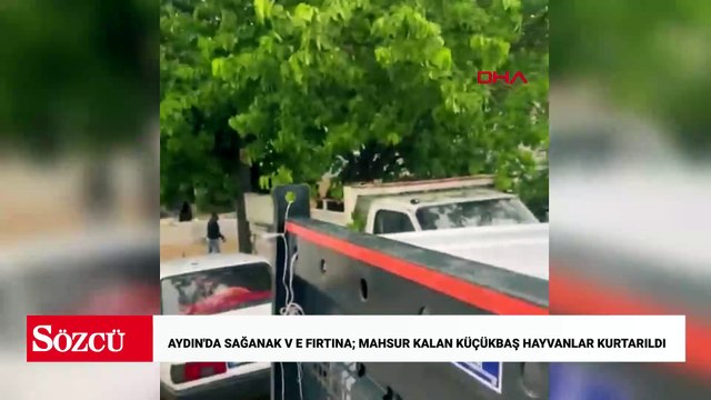 Aydın'da sağanak v e fırtına; mahsur kalan küçükbaş hayvanlar kurtarıldı