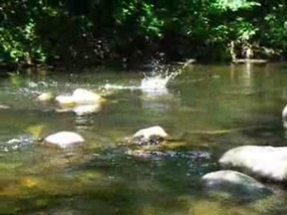 Gobage sur l'Agout