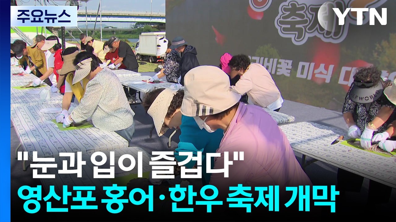 "눈과 입이 즐겁다"...영산포 홍어·한우 축제 개막 / YTN