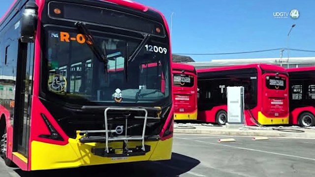 Siteur congela vacaciones y permisos a choferes durante el Mundial