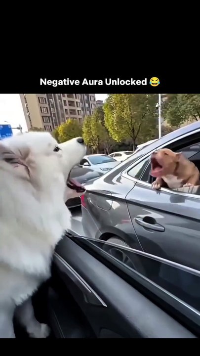 😂😅🤣😂😅🤣 ‌If you liked the video, don’t forget to like, comment, and follow🙏