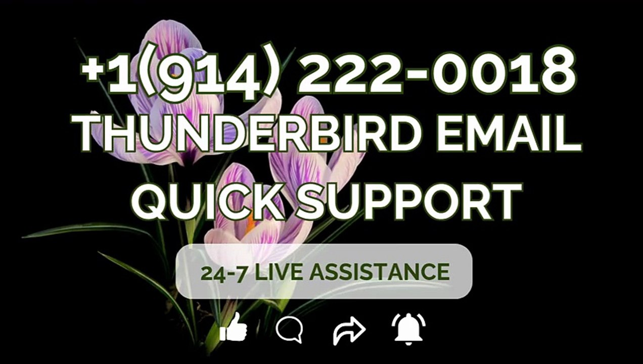 [EASY GUIDE] Thunderbird Email { Quick Support } | All 44 Contact Options