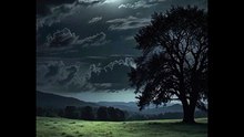 Night Prayer