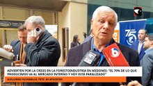 Guillermo Fachinello advirtió por la crisis de la forestoindustria en Misiones
