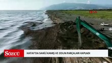 Hatay'da sahili kamış ve odun parçaları kapladı
