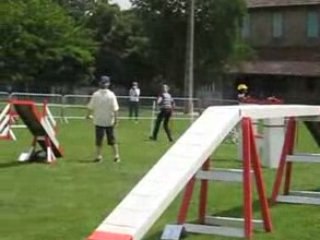 Swanny 3. degre ipac 81(1)