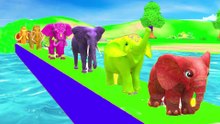Paint Animals Mammoths and Elephant Size Comparison Fountain Crossing Animal Game Transformation 2 thumnail