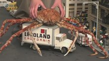 Crabe-araignée géant du Japon : Le vrai kaiju !