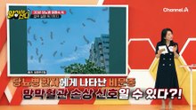 김밥 1줄로 3끼 해결한다?! 당뇨병 악화시킨 그녀의 식습관