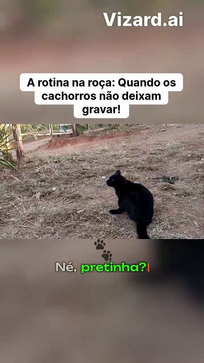 A rotina na roça_ Quando os cachorros não deixam gravar!
