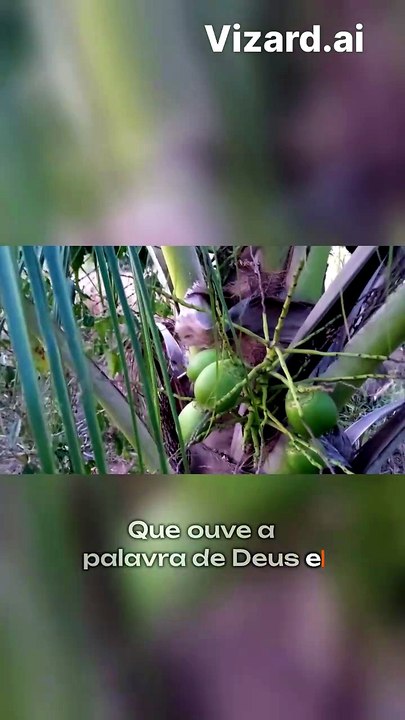 A comparação entre a semente e a Palavra de Deus