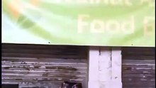 My Husband Regrets Divorcing Me Full Movie